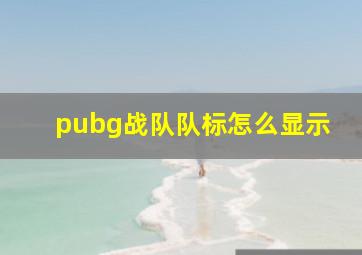 pubg战队队标怎么显示