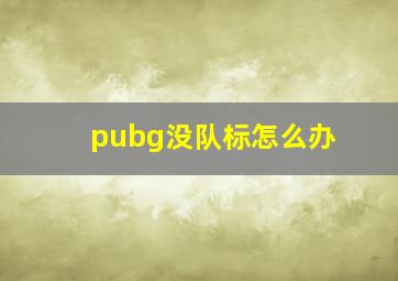 pubg没队标怎么办