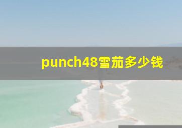 punch48雪茄多少钱