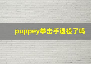 puppey拳击手退役了吗