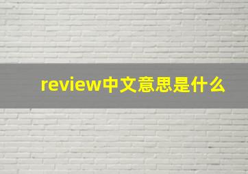 review中文意思是什么