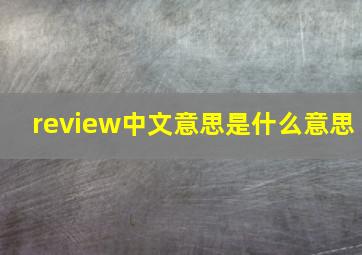 review中文意思是什么意思