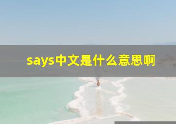 says中文是什么意思啊