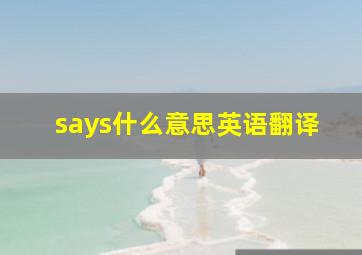 says什么意思英语翻译