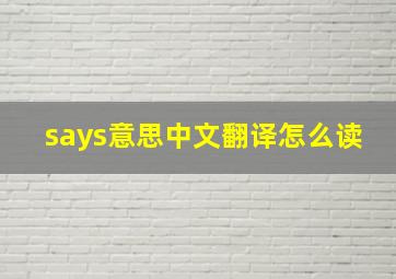 says意思中文翻译怎么读