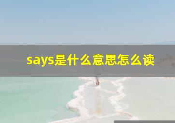 says是什么意思怎么读