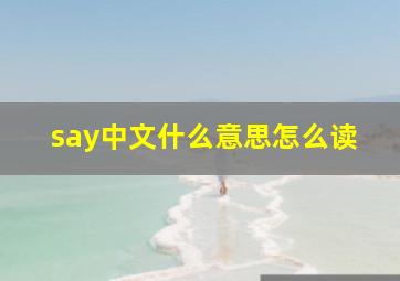 say中文什么意思怎么读