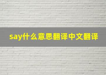 say什么意思翻译中文翻译