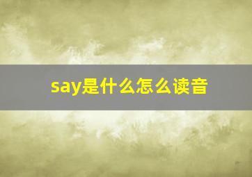 say是什么怎么读音