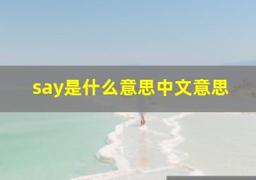 say是什么意思中文意思