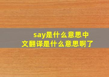 say是什么意思中文翻译是什么意思啊了