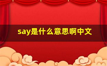 say是什么意思啊中文