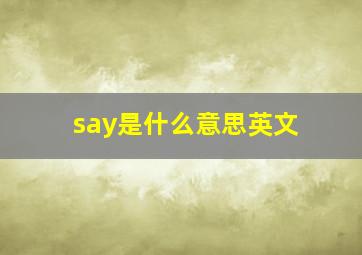 say是什么意思英文