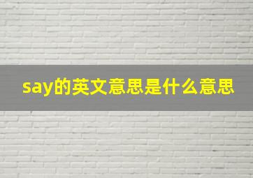 say的英文意思是什么意思