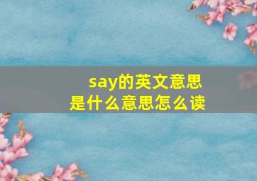 say的英文意思是什么意思怎么读