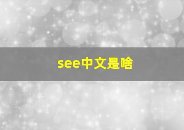 see中文是啥