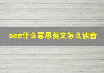 see什么意思英文怎么读音