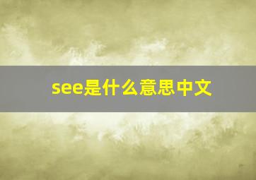 see是什么意思中文