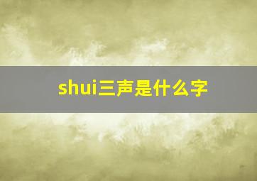 shui三声是什么字