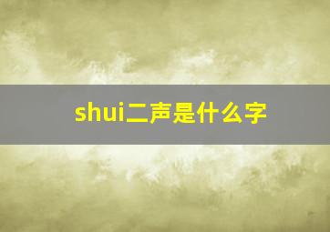 shui二声是什么字