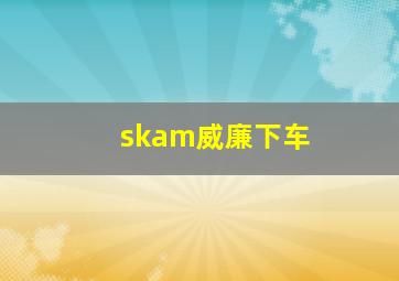 skam威廉下车