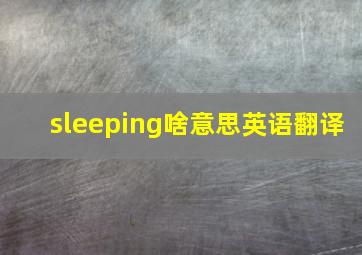 sleeping啥意思英语翻译