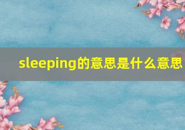 sleeping的意思是什么意思