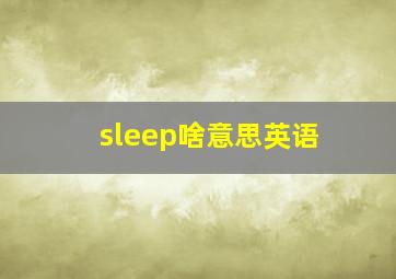 sleep啥意思英语