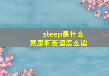 sleep是什么意思啊英语怎么读