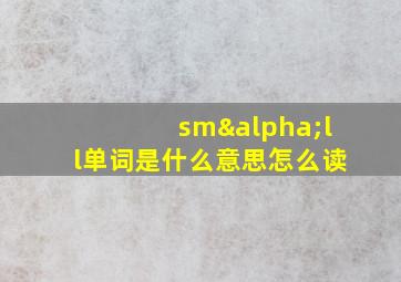 smαll单词是什么意思怎么读