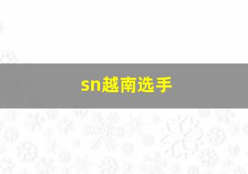 sn越南选手