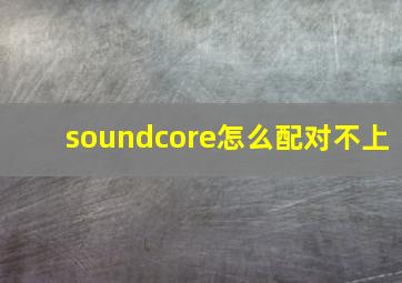 soundcore怎么配对不上