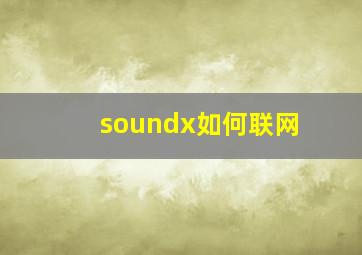 soundx如何联网