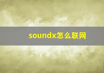 soundx怎么联网