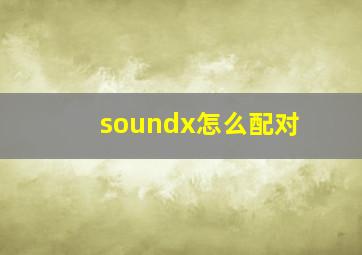 soundx怎么配对