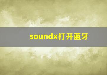 soundx打开蓝牙