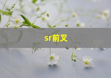 sr前叉