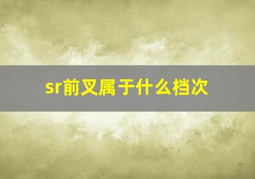 sr前叉属于什么档次