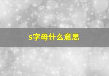 s字母什么意思