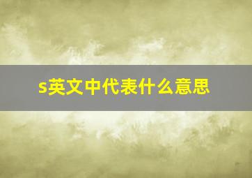 s英文中代表什么意思