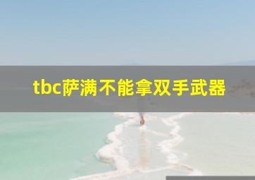 tbc萨满不能拿双手武器