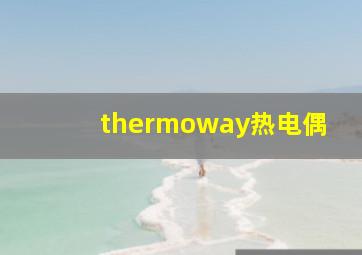 thermoway热电偶