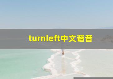 turnleft中文谐音