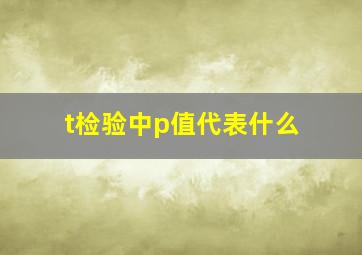 t检验中p值代表什么