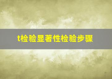 t检验显著性检验步骤