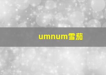 umnum雪茄