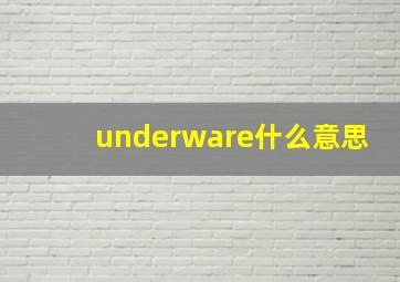 underware什么意思