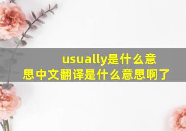 usually是什么意思中文翻译是什么意思啊了