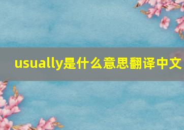 usually是什么意思翻译中文