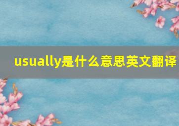 usually是什么意思英文翻译